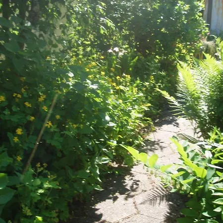 Alléhuset Nyaraló *