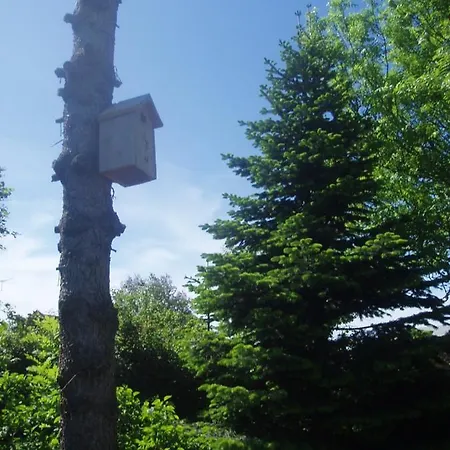 Alléhuset Nyaraló *