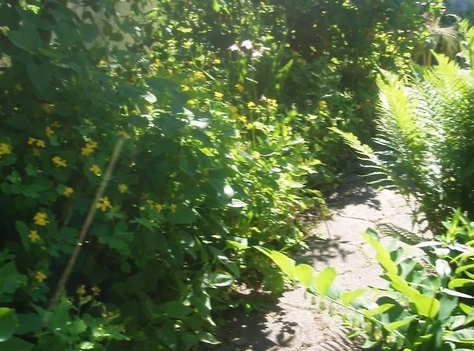 Alléhuset Сasa de vacaciones *